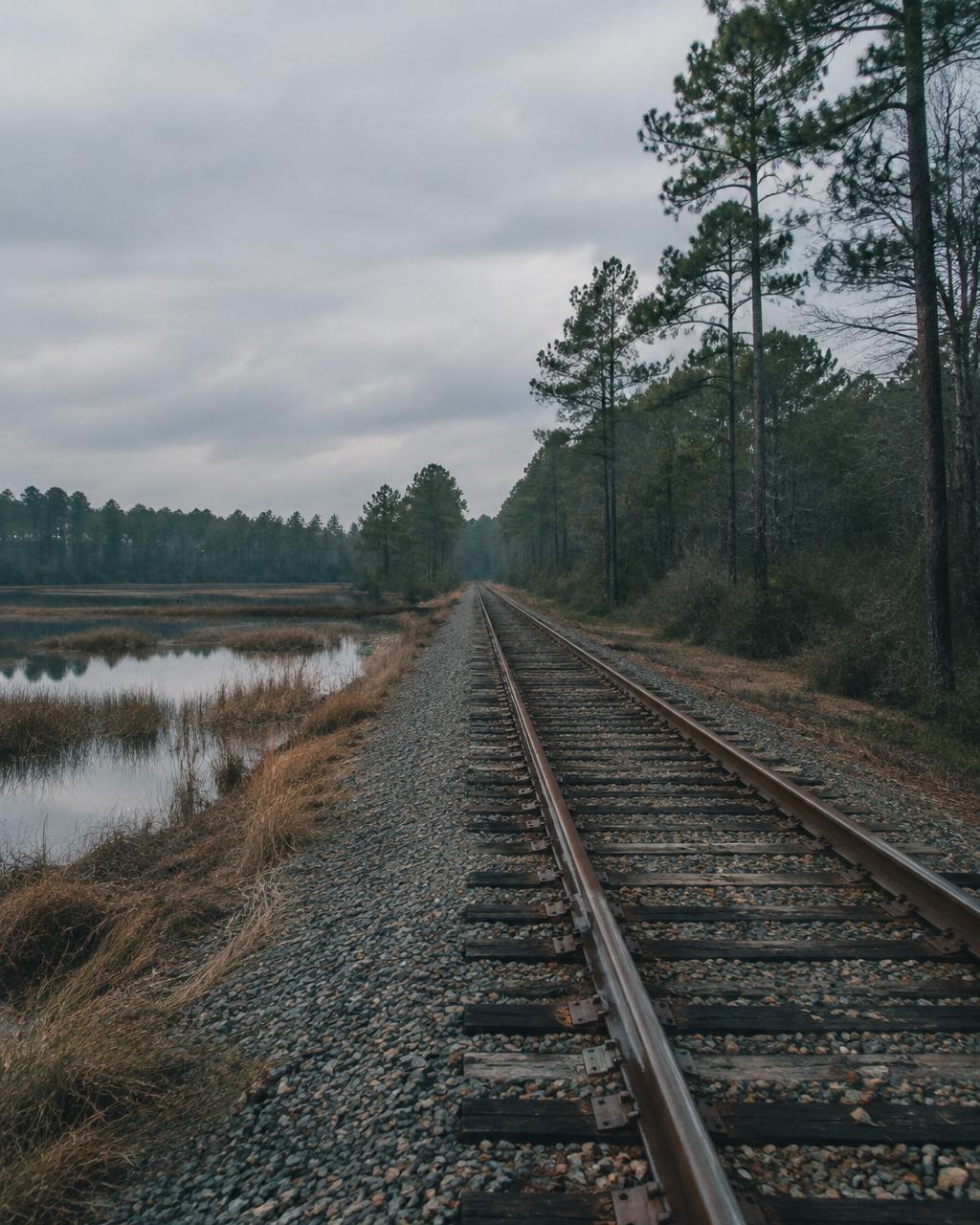 Railroad through wetlands